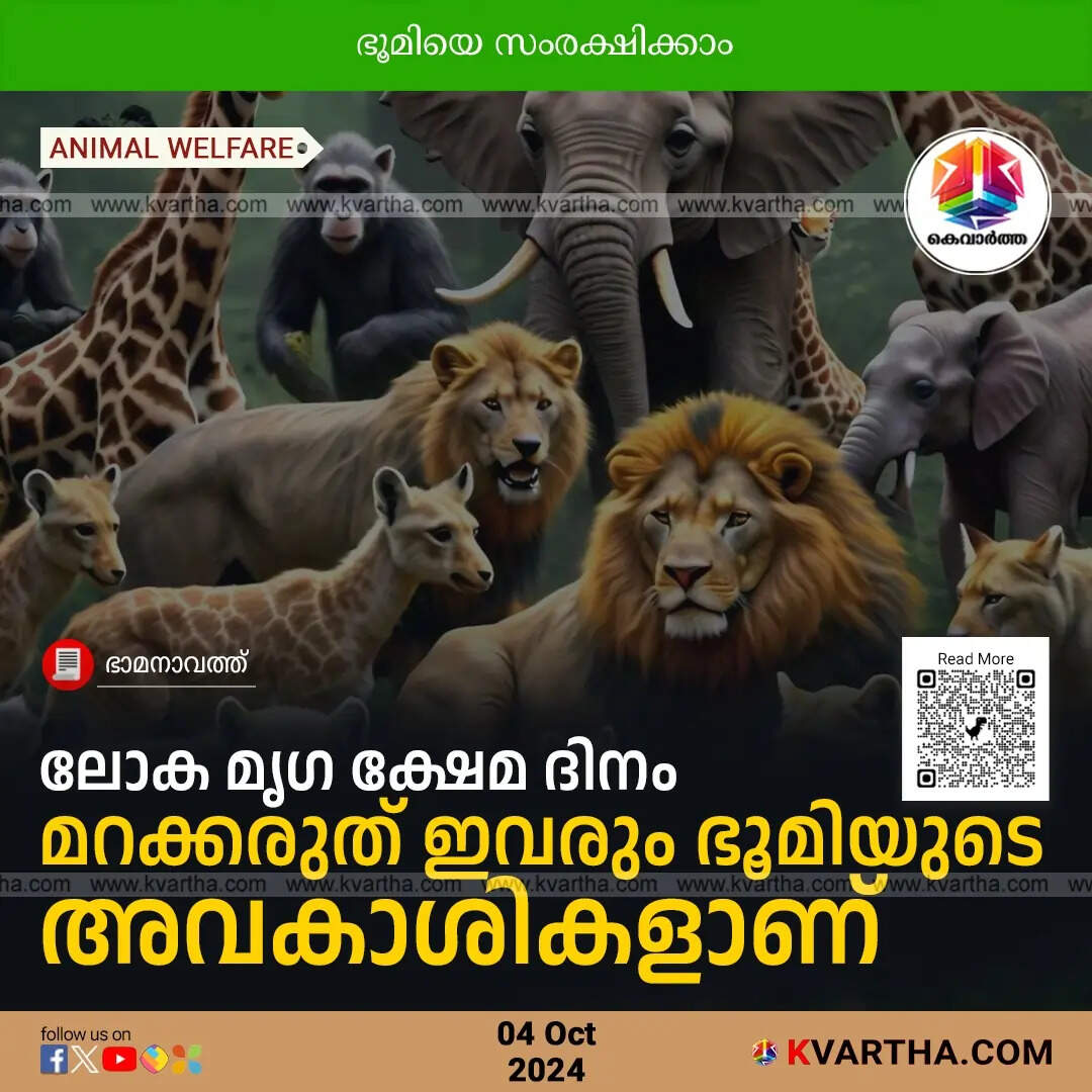 World Animal Day: Remembering that They Too are Earth's Inheritors