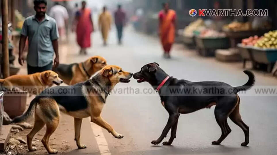Image Representing Five-Year-Old Boy Dies of Rabies After Stray Dog Bite in Kannur, Lab Tests Confirm