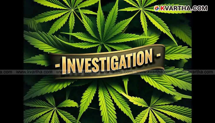 Cannabis seized from Kalamassery Polytechnic hostel during police raid.