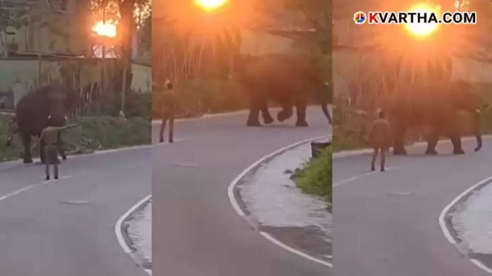Policeman helping elephant cross the road in Athirapilly.