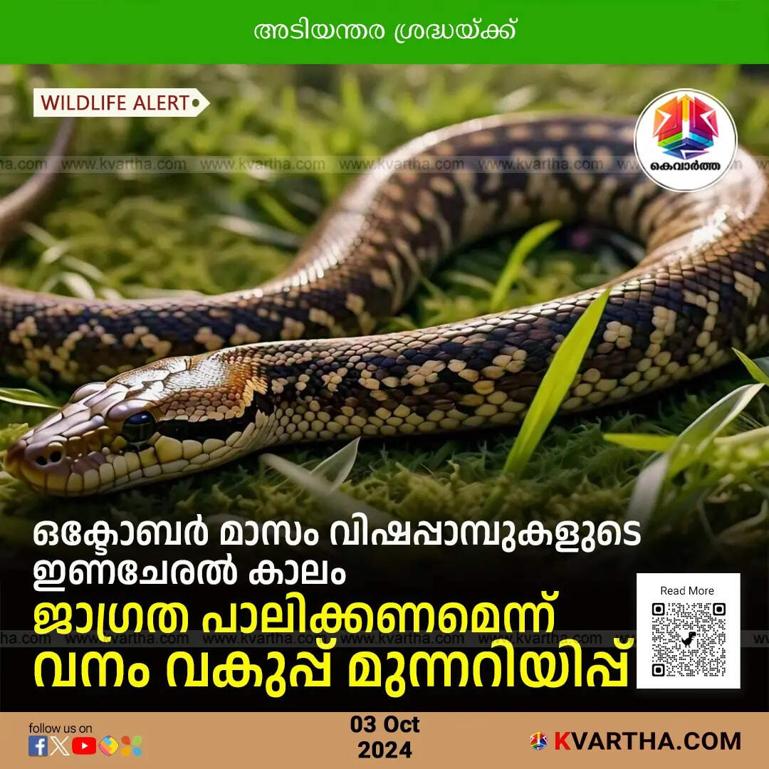October Marks Mating Season for Venomous Snakes: Forest Department Warning