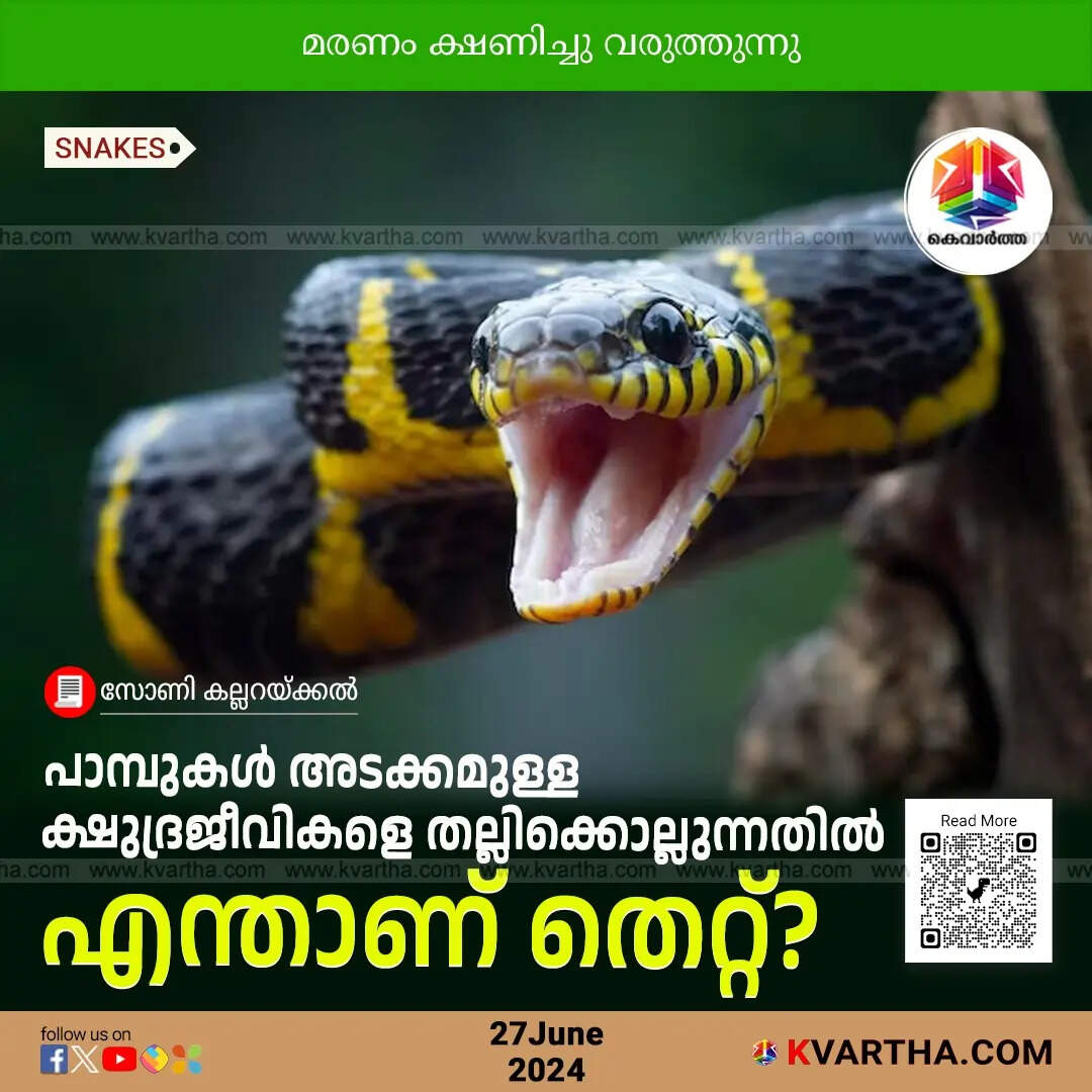 Snakes