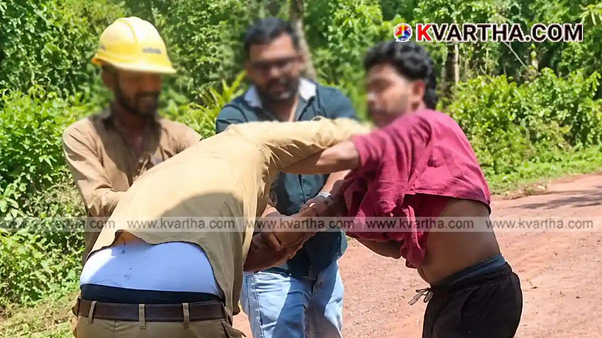 Youth Booked for Attacking KSEB Lineman During Maintenance Work in Kannur