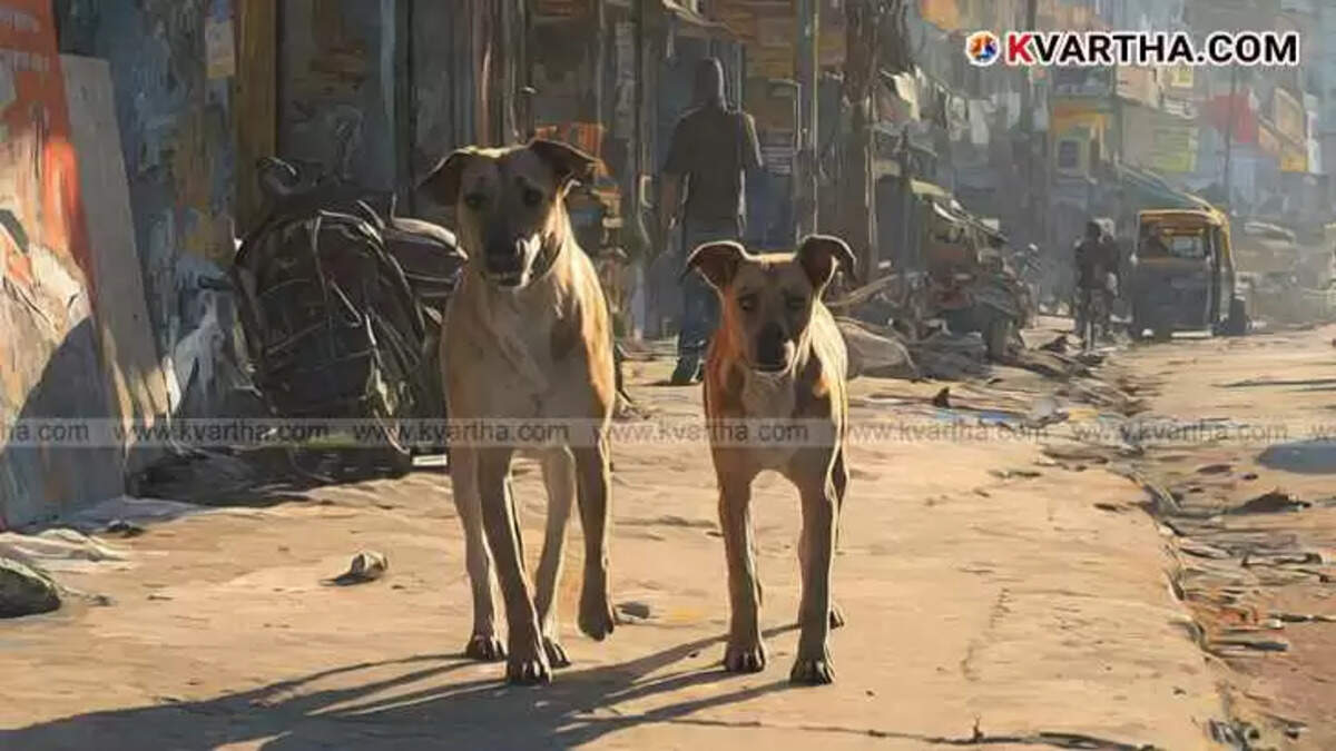 Stray dog walking on a city street in India.