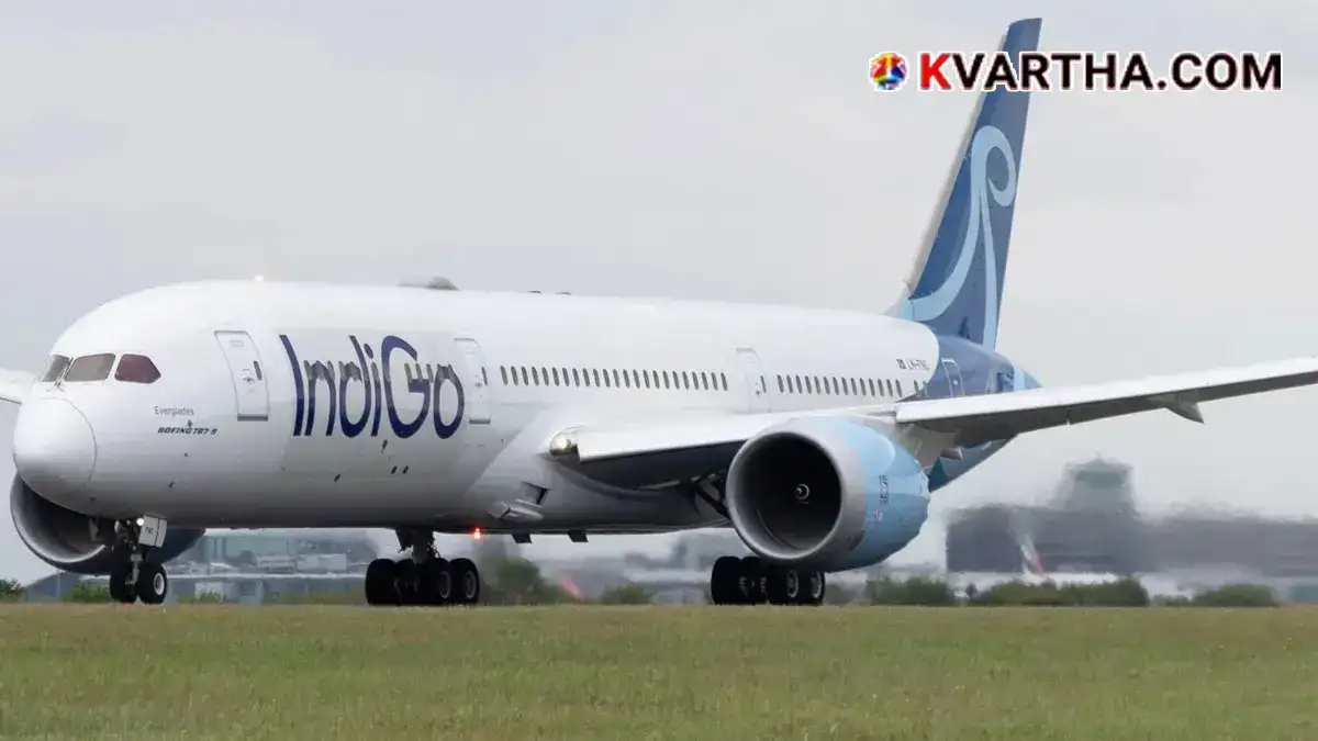 Image reflecting IndiGo Airlines flight