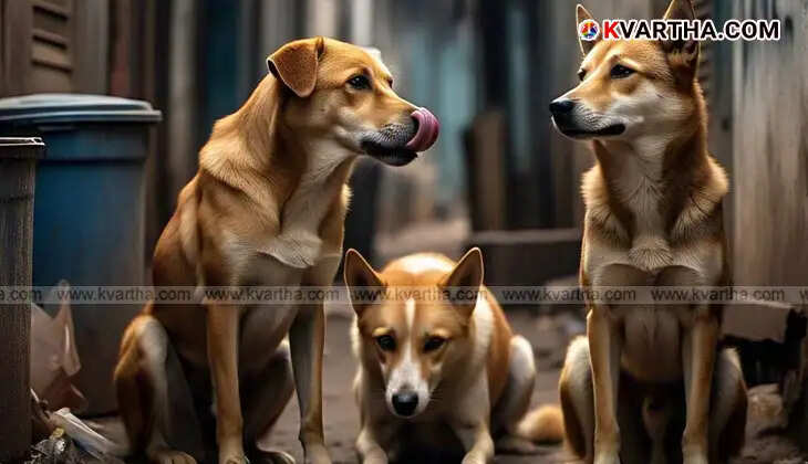 Alleged Medical Negligence in Malappuram Dog Bite Death: Criticism Against Treatment System