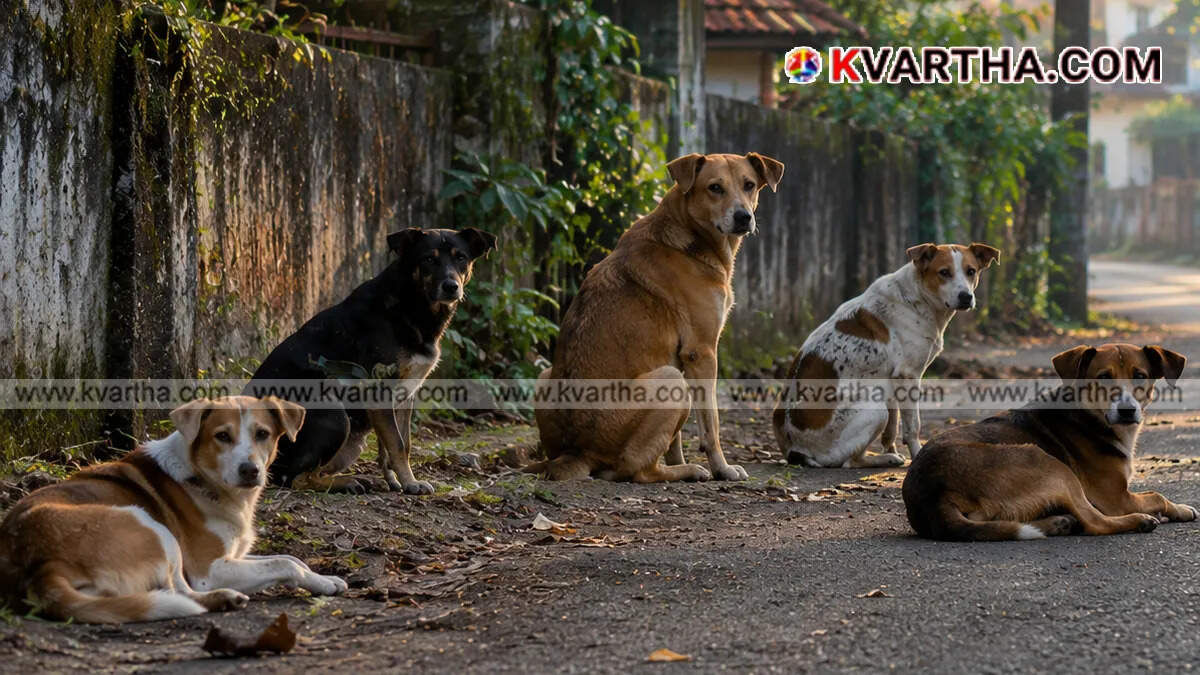 Representative image of Stray dog ​​menace