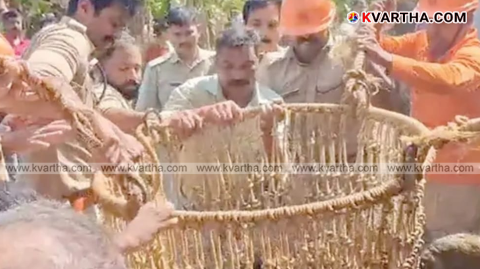 A symbolic scene of a man falling into a well after being frightened by a dog and being rescued by the fire department.