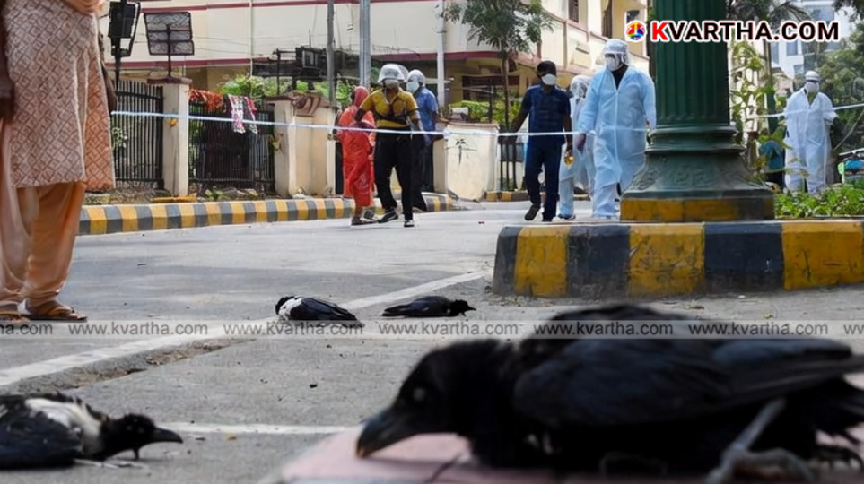 Health officials monitoring bird flu outbreak in Chennai.