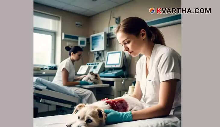 Dog owner donating blood for their pet