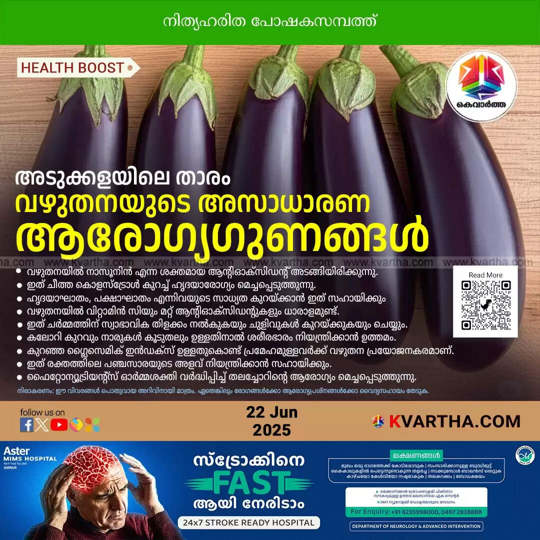 eggplant health beauty benefits