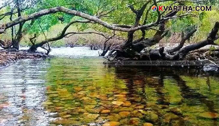 Image Of Nedumkayam Nilambur