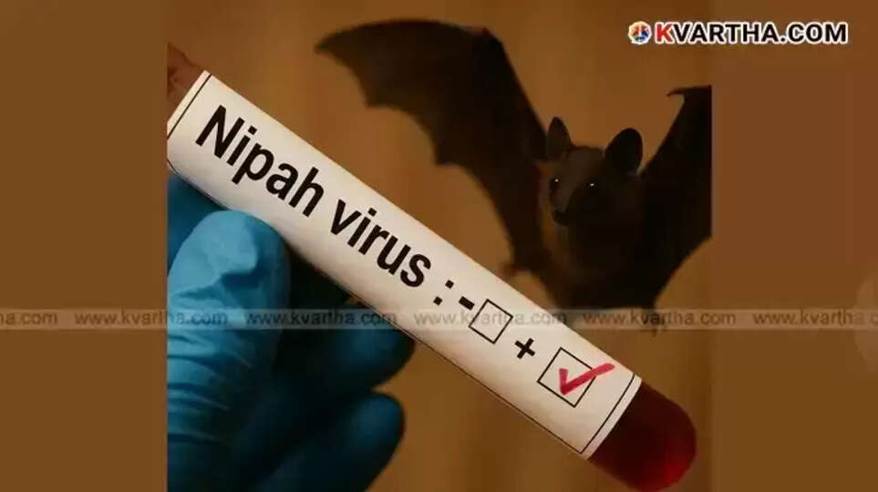 Nipah virus prevention activities.
