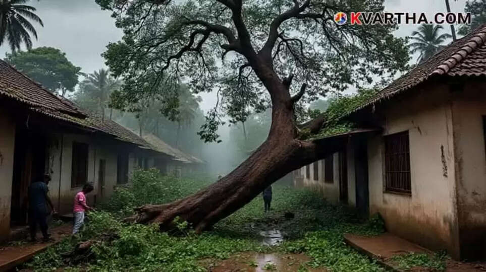 Image Representing Huge Mango Tree Onto Houses in Palakkad