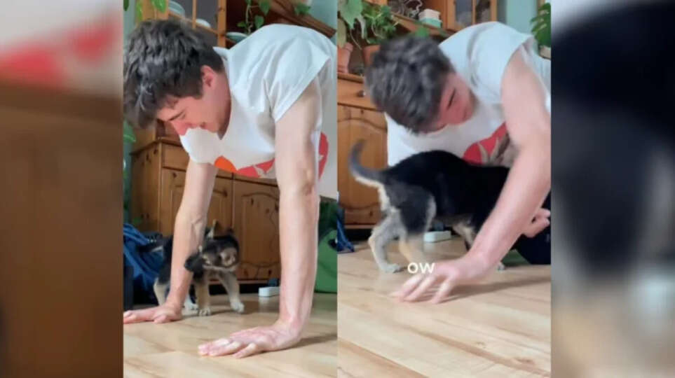 Puppy Interrupts Owner's Workout