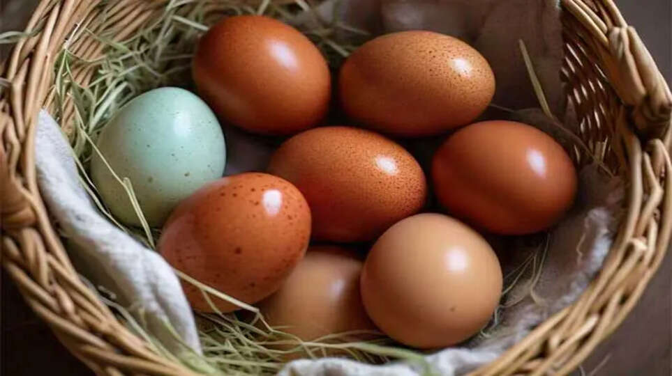 Eggs