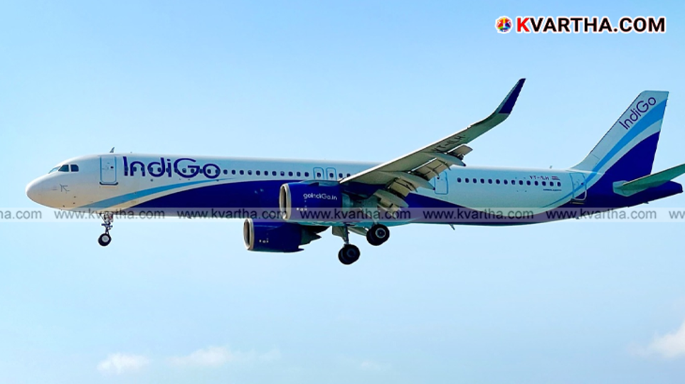 IndiGo airlines aircraft standing at the airport terminal