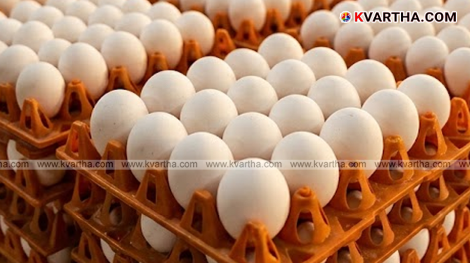 Stacks of egg crates at a poultry farm in Namakkal showing surplus stock during export crisis 2026.