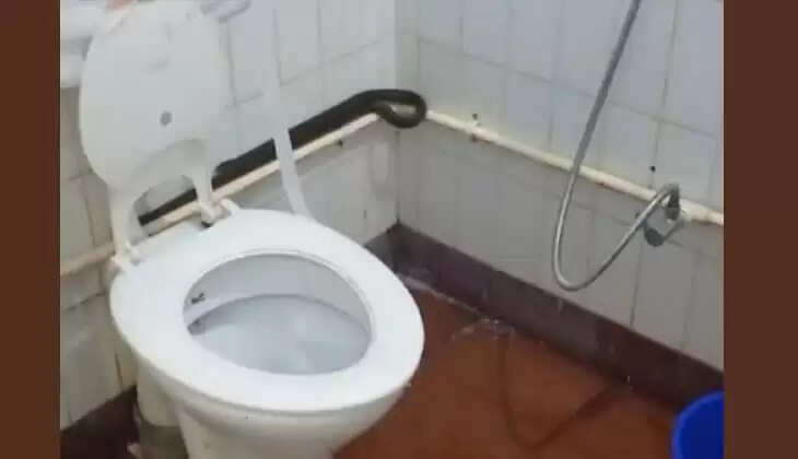 Snake Found in Pariyaram Medical College Hospital