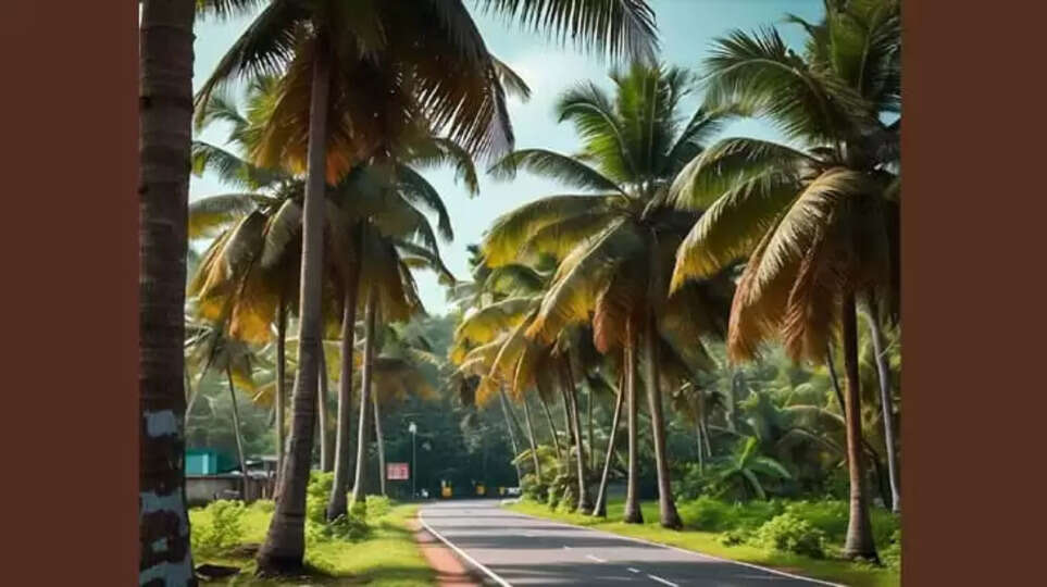 Youth Found Dead in Road Accident