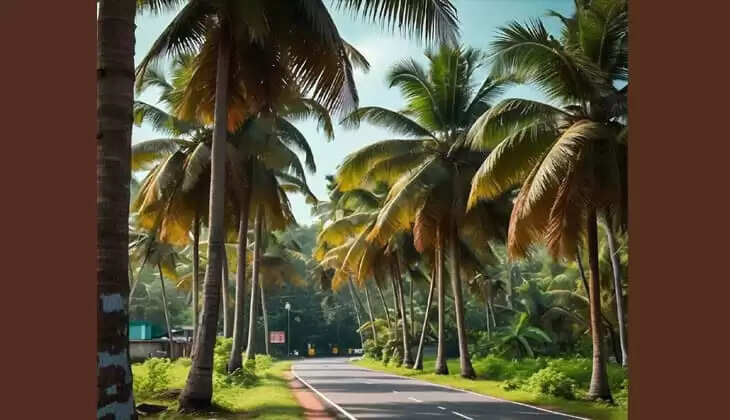 Youth Found Dead in Road Accident