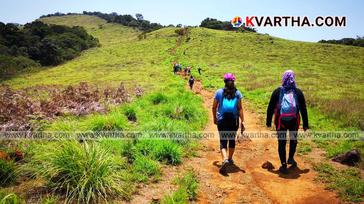 Tragic Lightning Strike: Tourism Department Temporarily Bans Entry and Trekking at Paithalmala
