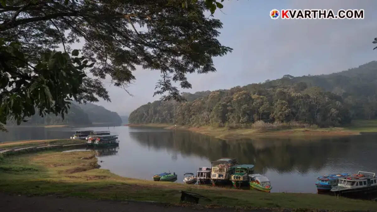Scenic view of Panchalimedu in Idukki.