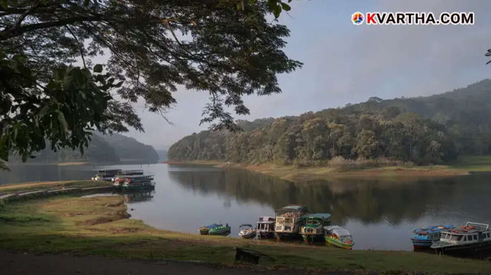 Scenic view of Panchalimedu in Idukki.