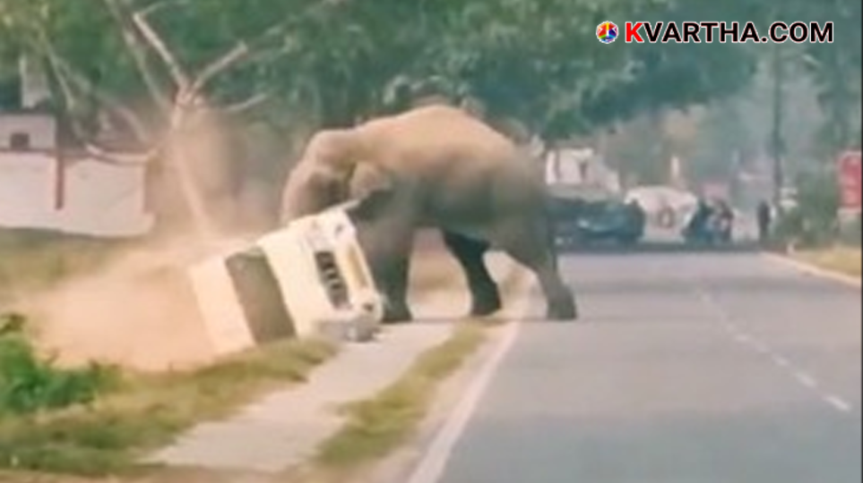 A still from a viral video showing an elephant pushing a mini-truck.