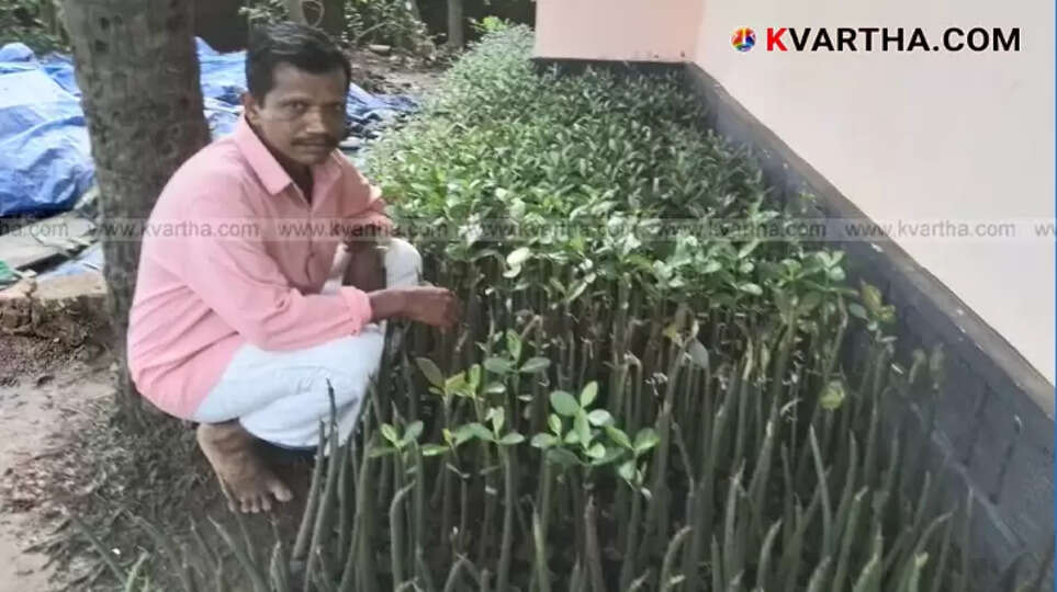 Raghunath Pokkudan in his home mangrove nursery.