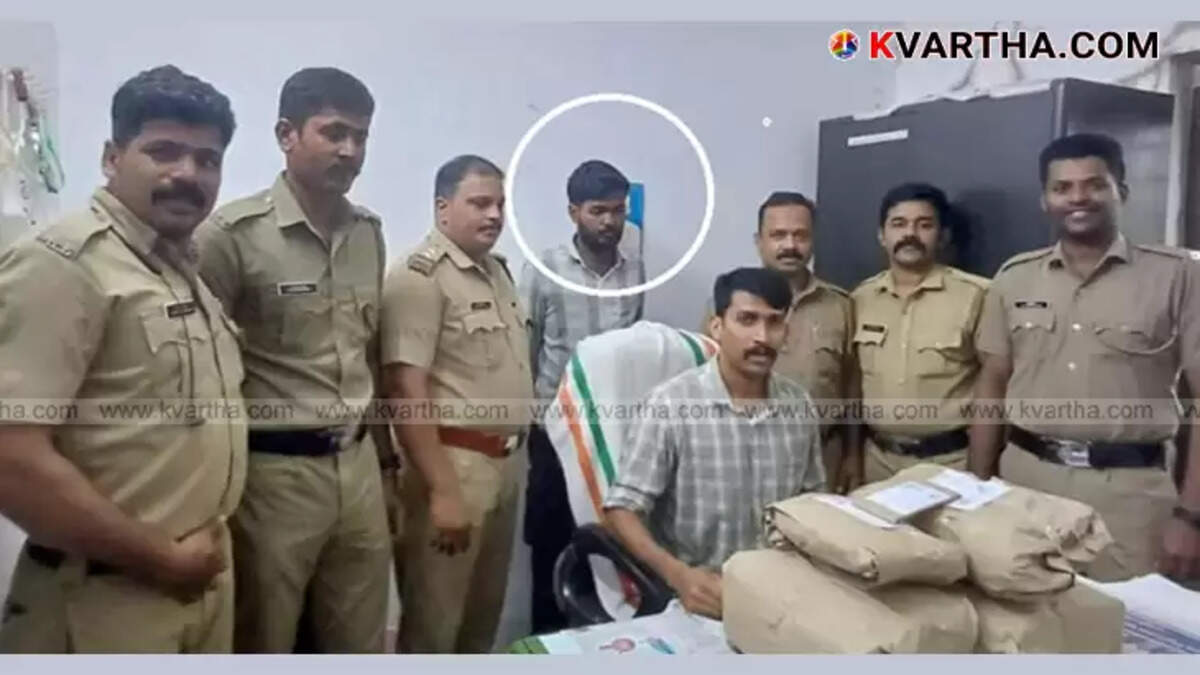 A large pile of cannabis seized by Excise officials, with a scale visible in the background, representing the recent bust in Kannur.