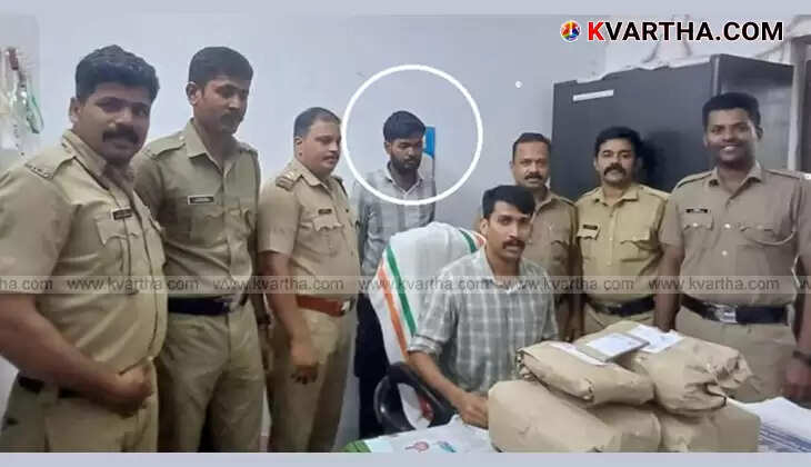 A large pile of cannabis seized by Excise officials, with a scale visible in the background, representing the recent bust in Kannur.