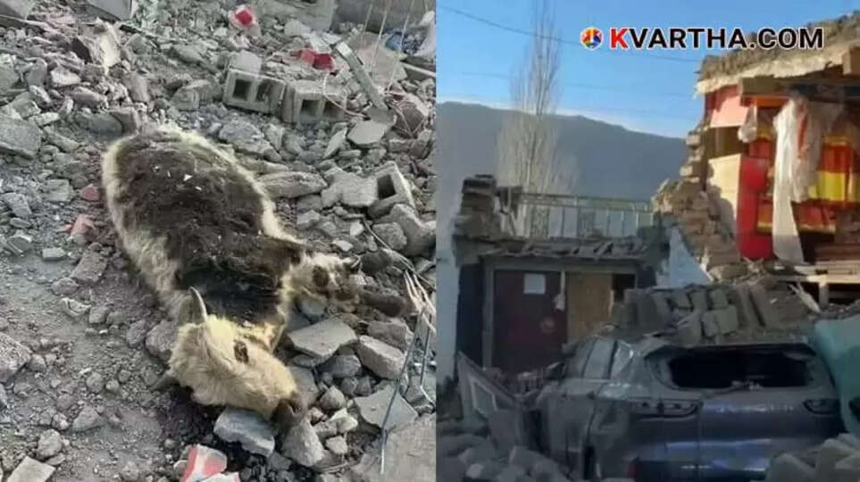 Damaged buildings after the earthquake in Tibet