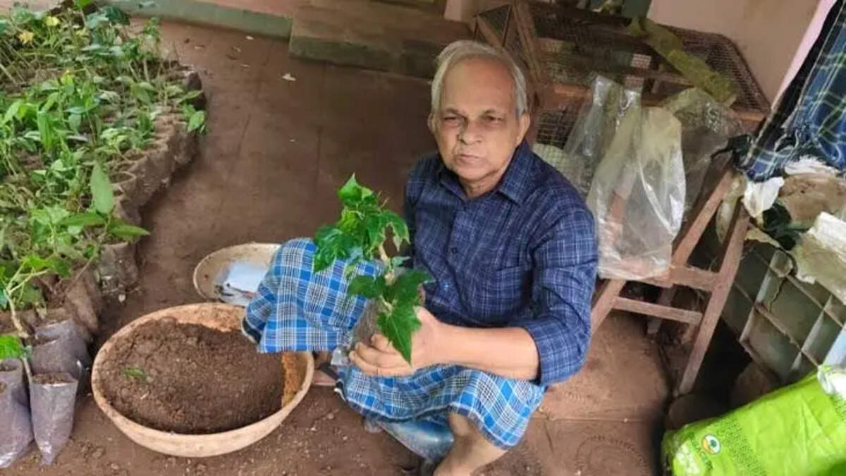 1.9 Million Trees, One Man's Dream