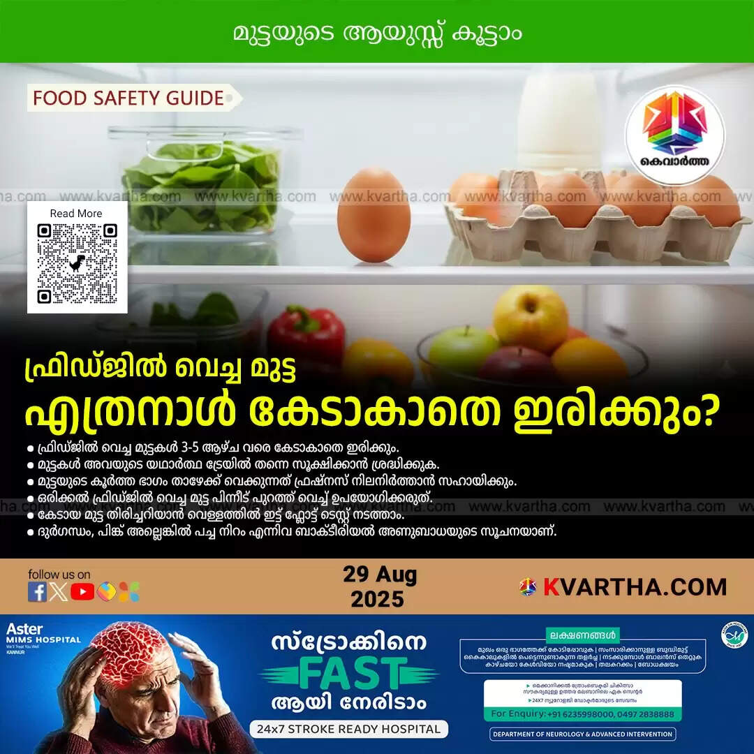 A carton of eggs placed inside a refrigerator.