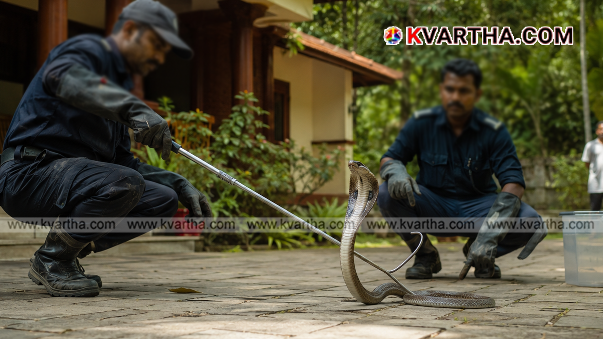 SARPA volunteers safely rescuing a snake.