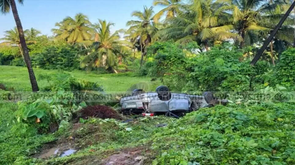A car crashed into a tree.
