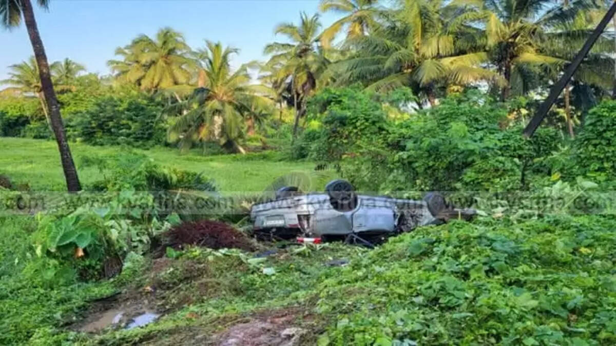 A car crashed into a tree.