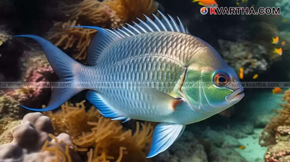 A group of fresh fish on a market stall.
