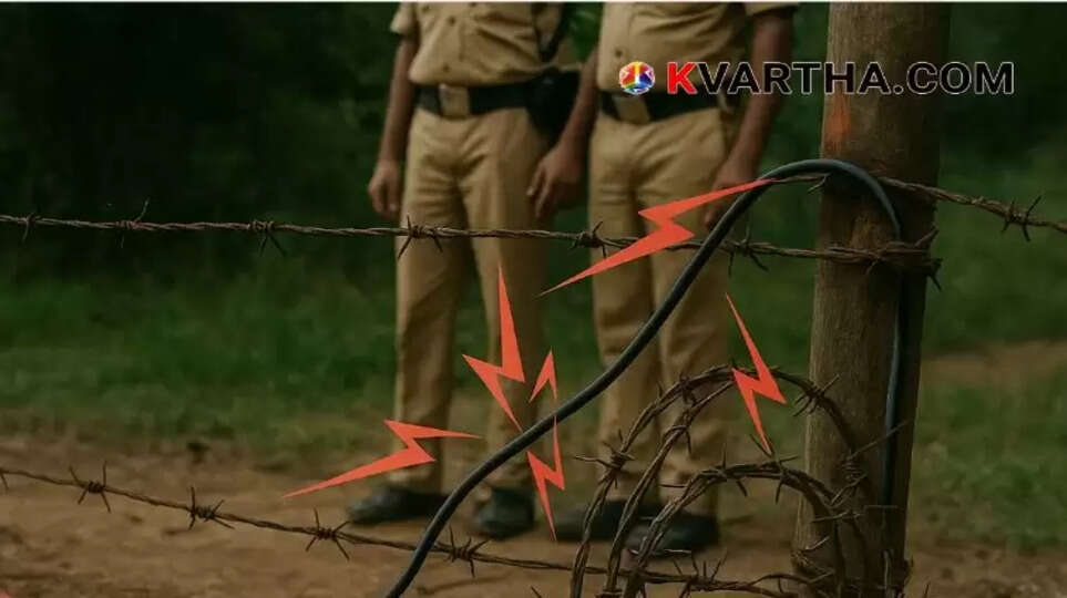 10th Grade Student Electrocuted by Illegal Pig Trap in Malappuram; Two Injured, Calls for Probe Into KSEB Negligence
