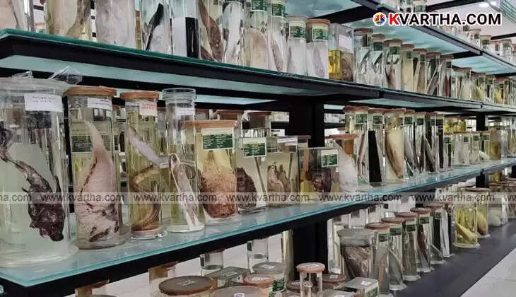 Visitors viewing exhibits at the CMFRI Marine Biodiversity Museum.