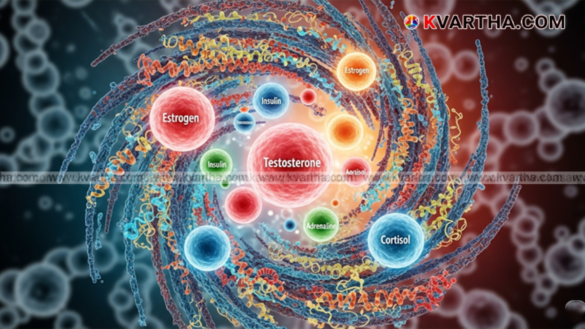 An illustration of various hormones regulating human body functions.