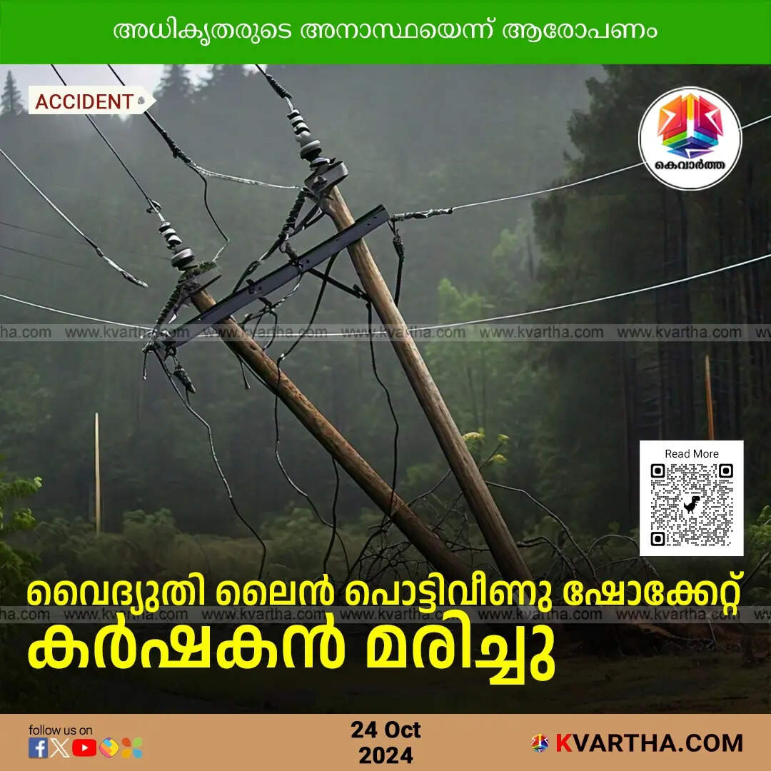Farmer Electrocuted After Power Line Falls