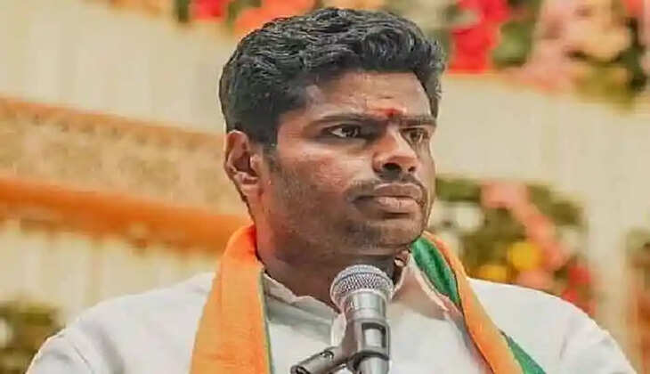 tamil nadu election results annamalai factor fails to fire