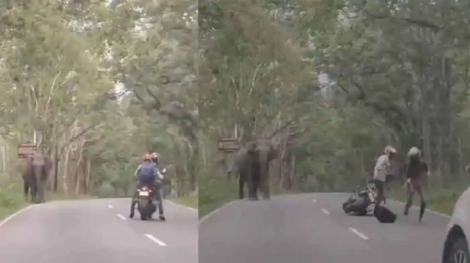Motorcyclists narrowly escape wild elephant attack in Wayanad, Wayanad, News, Motorcyclists, Escape, Wild Elephant, Attack, Kerala News