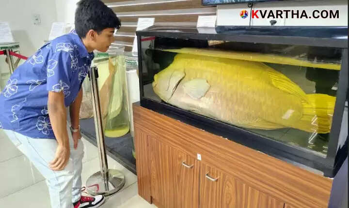 Huge Crowd at CMFRI Kochi Open House Exhibition Featuring 14 Meter Whale Skeleton and Rare Marine Life