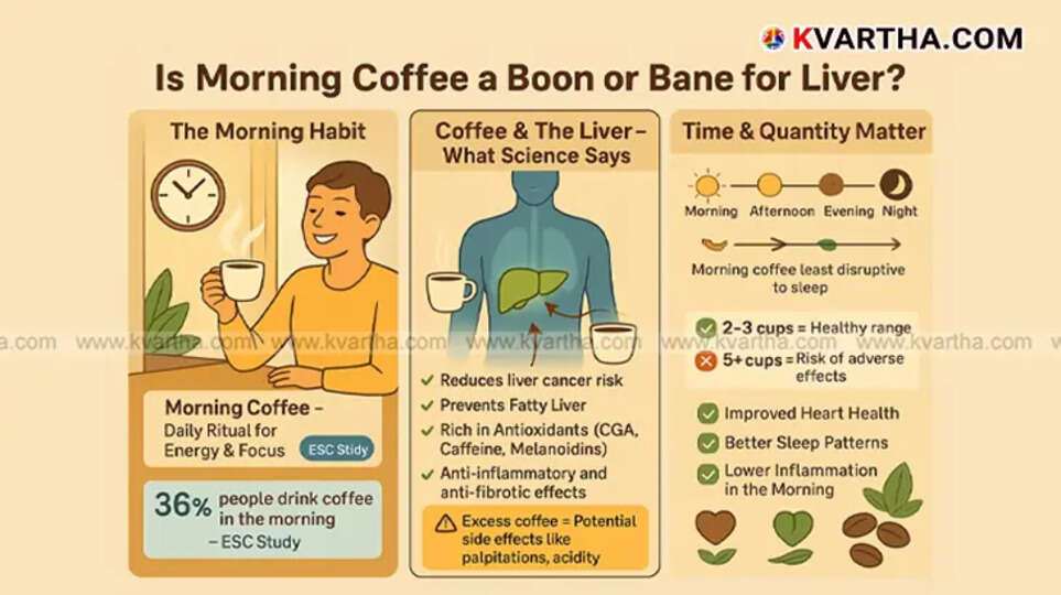 Is Morning Coffee Good or Bad for Liver Health? Detailed Study Insights