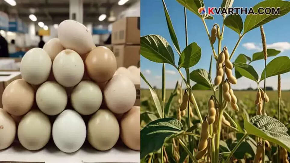 New Study Suggests Eggs and Soybeans May Increase Cancer Risk