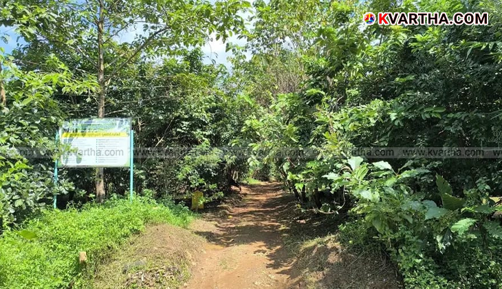 A lush green 'Pachathuruthu' in Kannur that won the Chief Minister's Award.