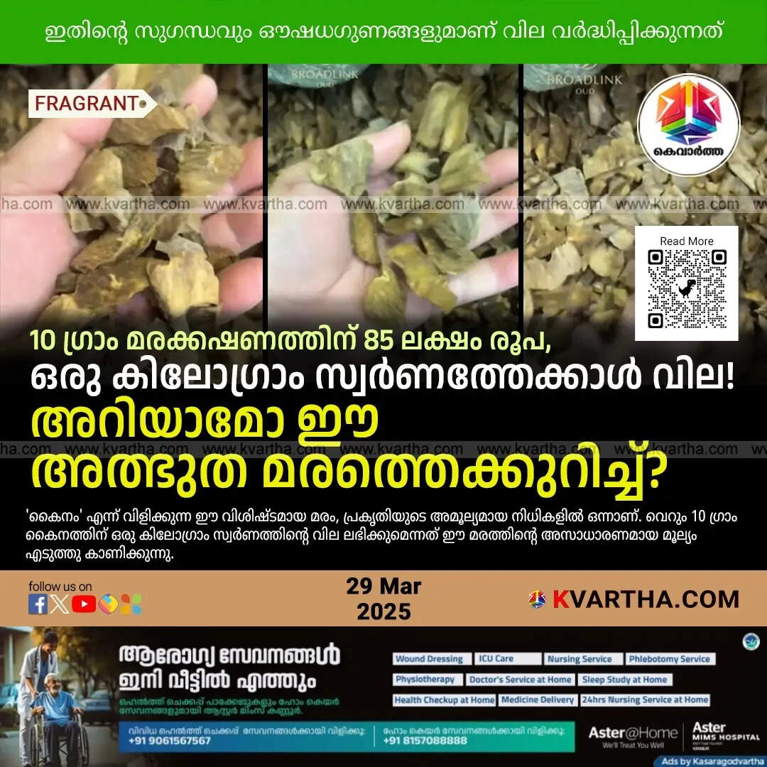 Kynam Wood: More Expensive Than Gold